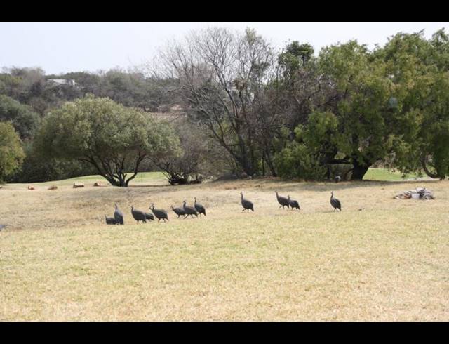 2 BEDROOM APARTMENT FOR SALE IN JACKAL CREEK GOLF ESTATE